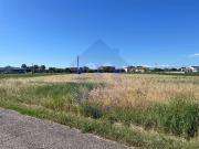 Terreno Agricolo 6500mq