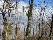 Terreno Agricolo 7440mq