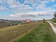 Terreno Agricolo 8 vani 40000mq