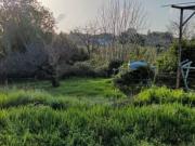 Terreno Agricolo Aci Sant'Antonio. Rif.: 32962