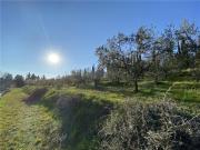 TERRENO AGRICOLO CARCHERI 200 VIGLIANO monolocale 6500mq