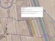 Terreno agricolo Castiglione della Pescaia