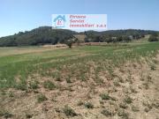Terreno Agricolo classe A4 a Montieri