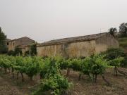 Terreno Agricolo coltivato con fabbricato in vendita a...