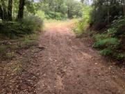 Terreno Agricolo con / Senza Piccolo Prefabbricato in...