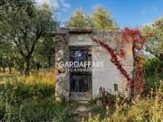 TERRENO AGRICOLO CON ULIVI A MANERBA DEL GARDA