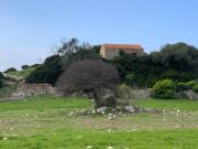 Terreno Agricolo da ristrutturare a Cuglieri
