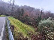 TERRENO AGRICOLO di 1250 mq SULZANO rif. 77357