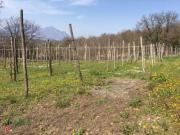 Terreno agricolo di 1300mq in Via provinciale a Manocalzati