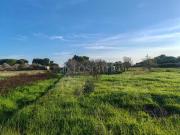 Terreno Agricolo di 3000 mq a Mitrano, Litoranea,...