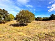Terreno Agricolo di 375217 mq a Loiri Porto San Paolo