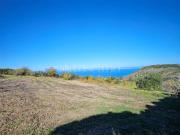 Terreno Agricolo di 5000 mq a Centro Castelsardo