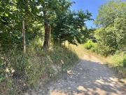 Terreno Agricolo di 6000 mq a SEMICENTRO Aiello del Sabato