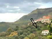 Terreno Agricolo di 7000 mq a Centro San Mauro Cilento