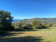 Terreno Agricolo di 7 Ettari con Rudere e Vista...