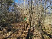 Terreno Agricolo di 815 mq a Colverde