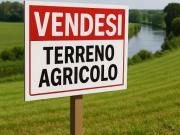 Terreno agricolo di circa 6.000 mq GL1602