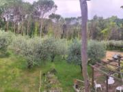 Terreno agricolo e boschivo
