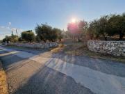 Terreno Agricolo Edificabile Localit...