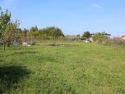 Terreno agricolo in affitto a Camaiore