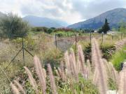 Terreno agricolo in affitto a Capaci