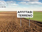 Terreno agricolo in affitto a L'Aquila