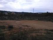 Terreno agricolo in affitto a Marsala