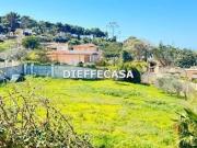 Terreno agricolo in affitto a Marsala