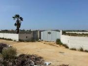 Terreno agricolo in affitto a Marsala