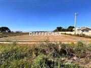 Terreno agricolo in affitto a Marsala