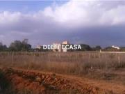 Terreno agricolo in affitto a Marsala