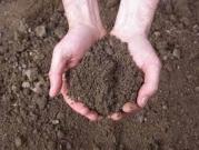 Terreno agricolo in affitto a Marsala