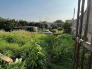 Terreno agricolo in affitto a Napoli