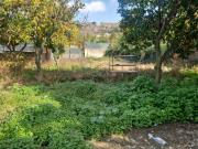 Terreno Agricolo in affitto a Napoli