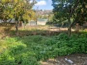 Terreno agricolo in affitto a Napoli