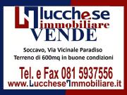 Terreno Agricolo in affitto a Napoli, Soccavo