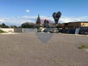 Terreno agricolo in affitto a Roma