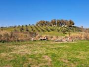 Terreno agricolo in affitto a Roma