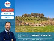 Terreno agricolo in affitto a Roma