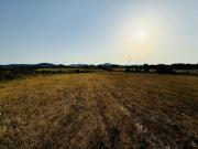 Terreno Agricolo in Bracciano
