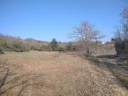 Terreno agricolo in Istria