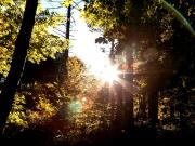 Terreno agricolo in Vendita a Abbadia San Salvatore