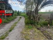 Terreno agricolo in Vendita a Acerra