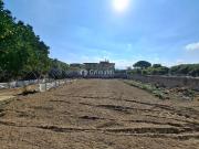 Terreno agricolo in affitto a Acerra