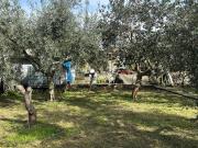 Terreno agricolo in Vendita a Aci Catena