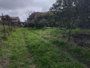 Terreno agricolo in vendita a Acireale