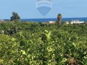 Terreno agricolo in vendita a Acireale