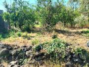 Terreno agricolo in vendita a Acireale