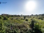 Terreno agricolo in vendita a Acireale