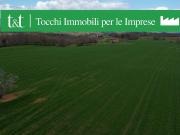 Terreno Agricolo in vendita a Acquapendente